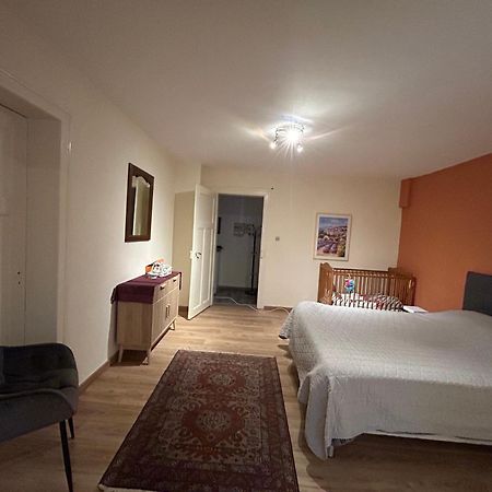 Bel Appartement En Rdc Proche Strasbourg Nice Apartment Very Near Страсбург Екстериор снимка